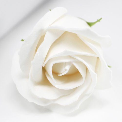 DIY Seifenblumen mittlere Rose weiß